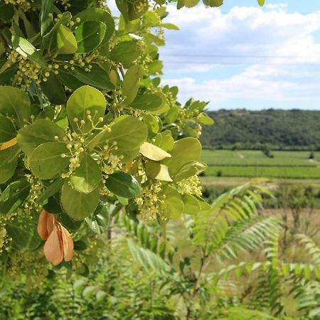 Vila Flora Sečovlje エクステリア 写真