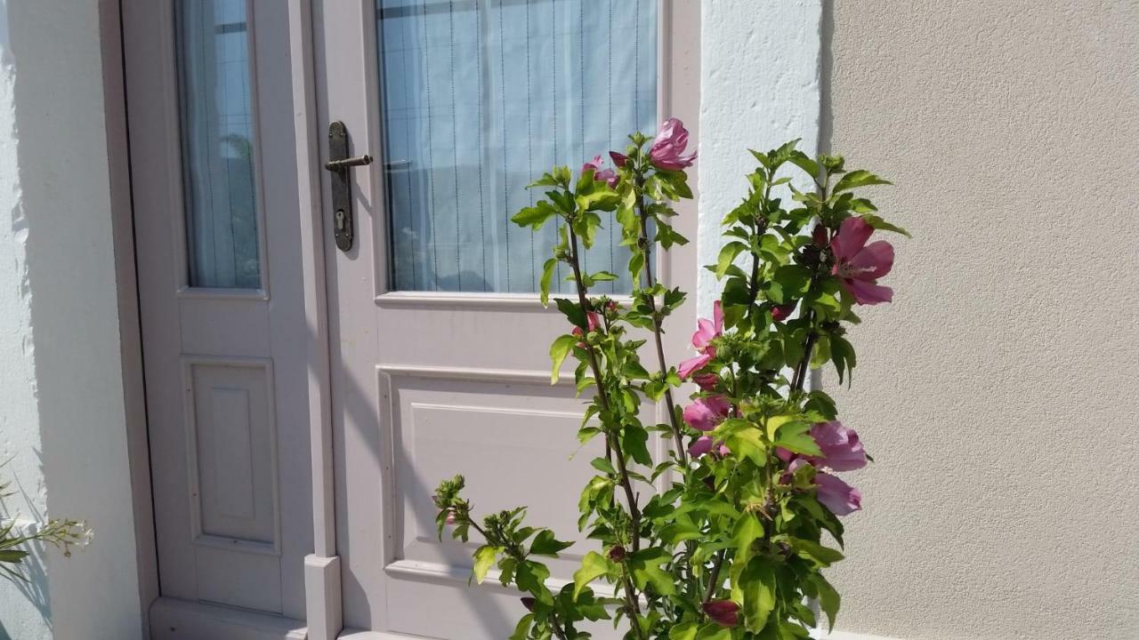 Vila Flora Sečovlje エクステリア 写真