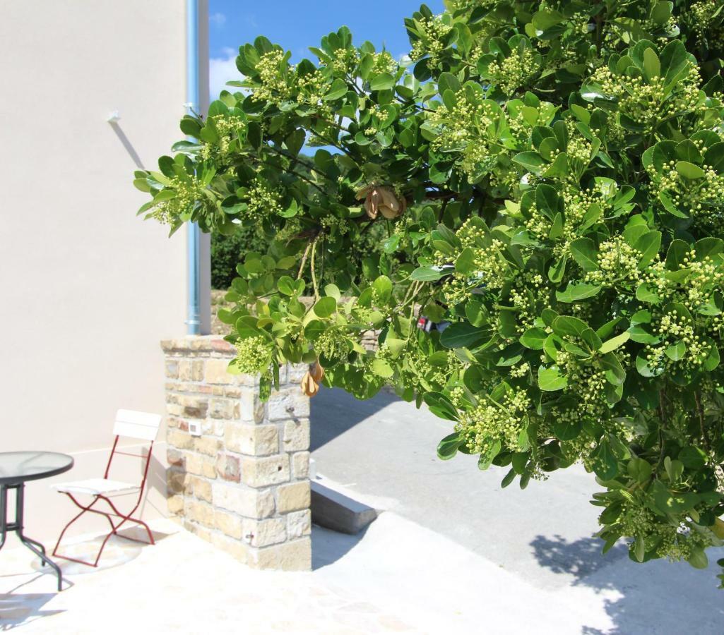 Vila Flora Sečovlje エクステリア 写真