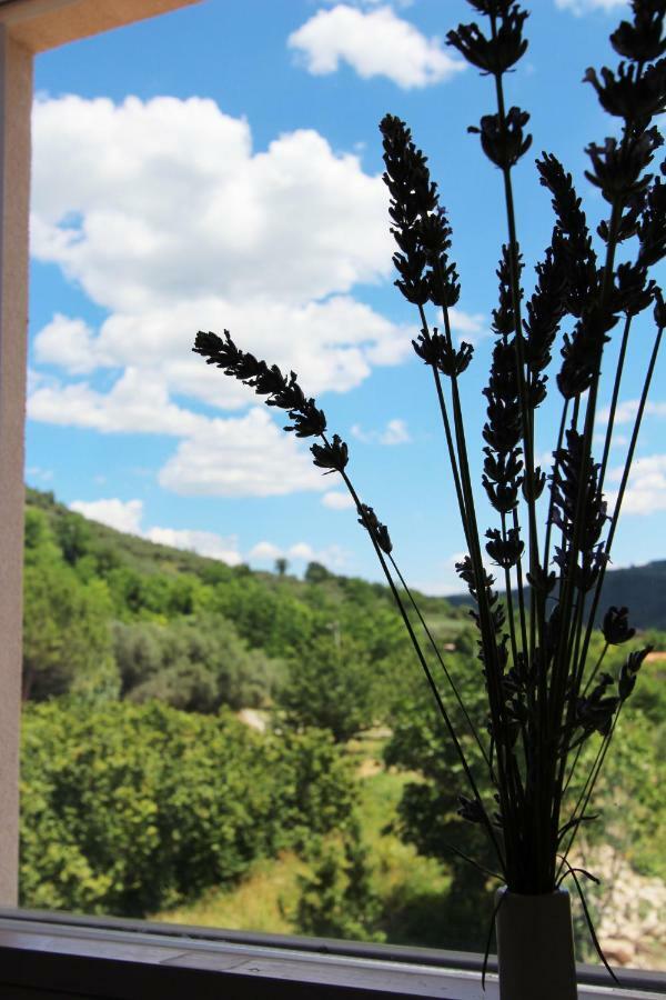Vila Flora Sečovlje エクステリア 写真