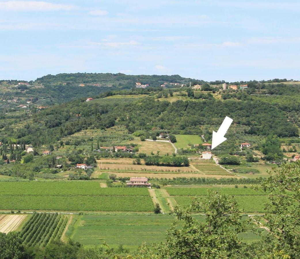 Vila Flora Sečovlje エクステリア 写真